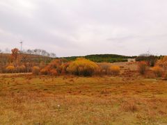 -御道口草原森林风景区