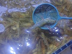 -聚盛源蒸汽海鲜火锅烤肉自助(巨川金海岸购物广场店)