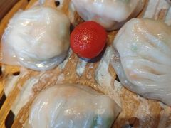 -新兴·金羊座·粤菜点心(乐峰店)