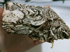 -爸爸糖手工吐司(上海五角场万达店)