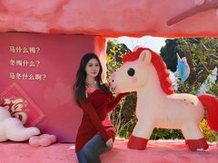 -无锡梅园公园