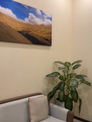 -北京米扬丽格医疗美容·联合丽格鼻整形中心