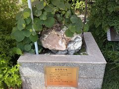 -广州神农草堂中医药博物馆