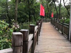 -仰口沙滩