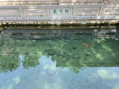 -趵突泉景区