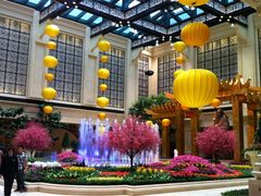 iphone_upload_pic-澳门喜来登大酒店