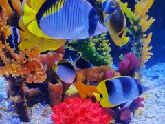 -成都浩海立方海洋公园