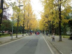 -四川大学(望江校区)