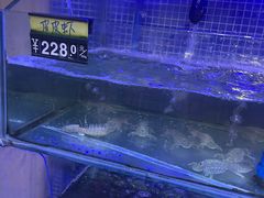 水产区-蟹老板的海鲜