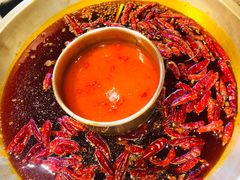 番茄鸳鸯锅-小龙坎老火锅(红旗街店)