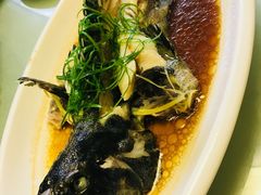 -鑫悦楼煎蟹·16年海鲜大排档