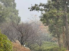 -无锡梅园公园