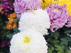 -共青国家森林公园-南大门停车场