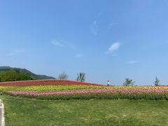 -径山花海
