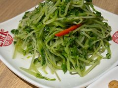 -老班长手工灌汤包老店(东山店)