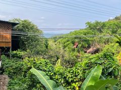 -海南槟榔谷黎苗文化旅游区