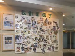 -半岛宠物医院24小时·内窥镜·牙科·碎石中心(府城大道店)