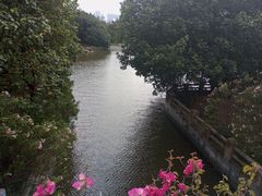 -海珠湖公园