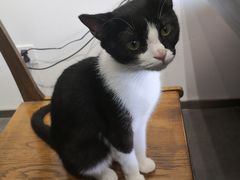 -原田新料理(1912店)