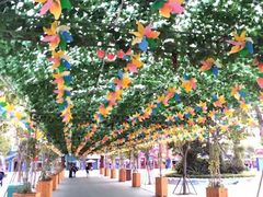 -厦门方特梦幻王国