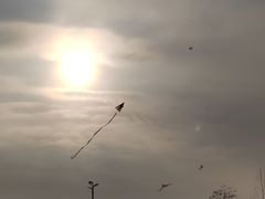 -汉长安城未央宫国家考古遗址公园