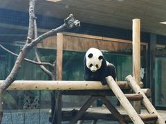 -西安秦岭野生动物园