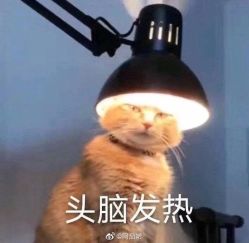 -Show fa salon 秀发沙龙