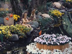 -上海共青森林公园