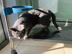 -乐宠动物医院