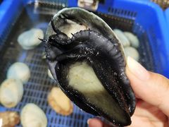 新西兰蓝鲍鱼-盒马鲜生(皇庭广场店)