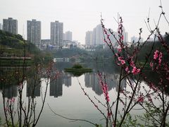 -重庆彩云湖湿地公园