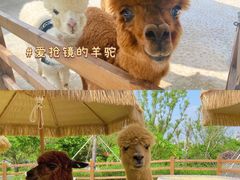 -珠海海泉湾度假区
