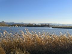 -野鸭湖国家湿地公园