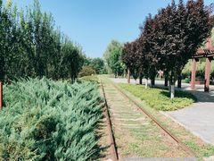 -永定河休闲森林公园