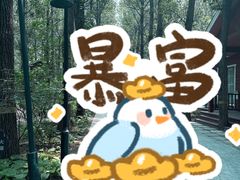 -林栖谷森林康养度假区