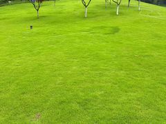 -龙头寺公园