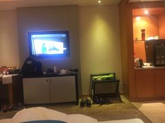 -成都明宇丽雅饭店