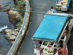 -东天目山风景区