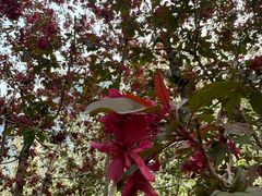 -元大都城垣遗址公园