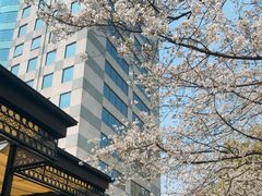 -玛格萝妮比萨屋(四平店)