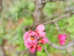 -花溪公园