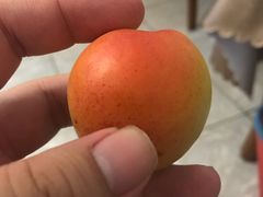 -闻道食府烙饼卷带鱼(原车耳营店原大觉寺店)
