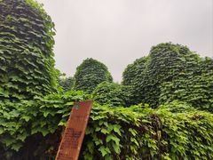 -郑州植物园