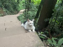-青城山