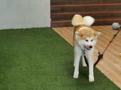 -YCHL Studios健身工作室(市二宫店)