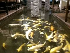 -北海渔村酒楼·粤菜海鲜点心(新华店)