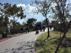 -上海长兴岛郊野公园