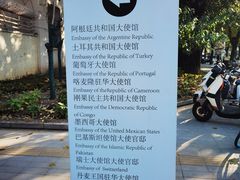 -三里屯东五街银杏大道
