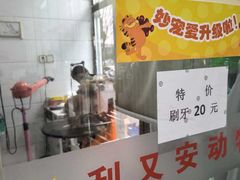 -利又安动物医院··老年病·猫科犬科·中兽医