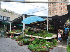 -曲阳花鸟市场(曲阳路店)